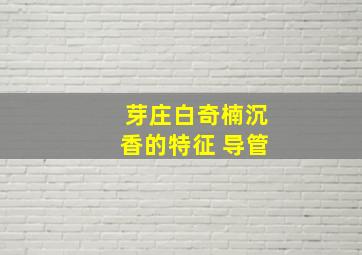 芽庄白奇楠沉香的特征 导管